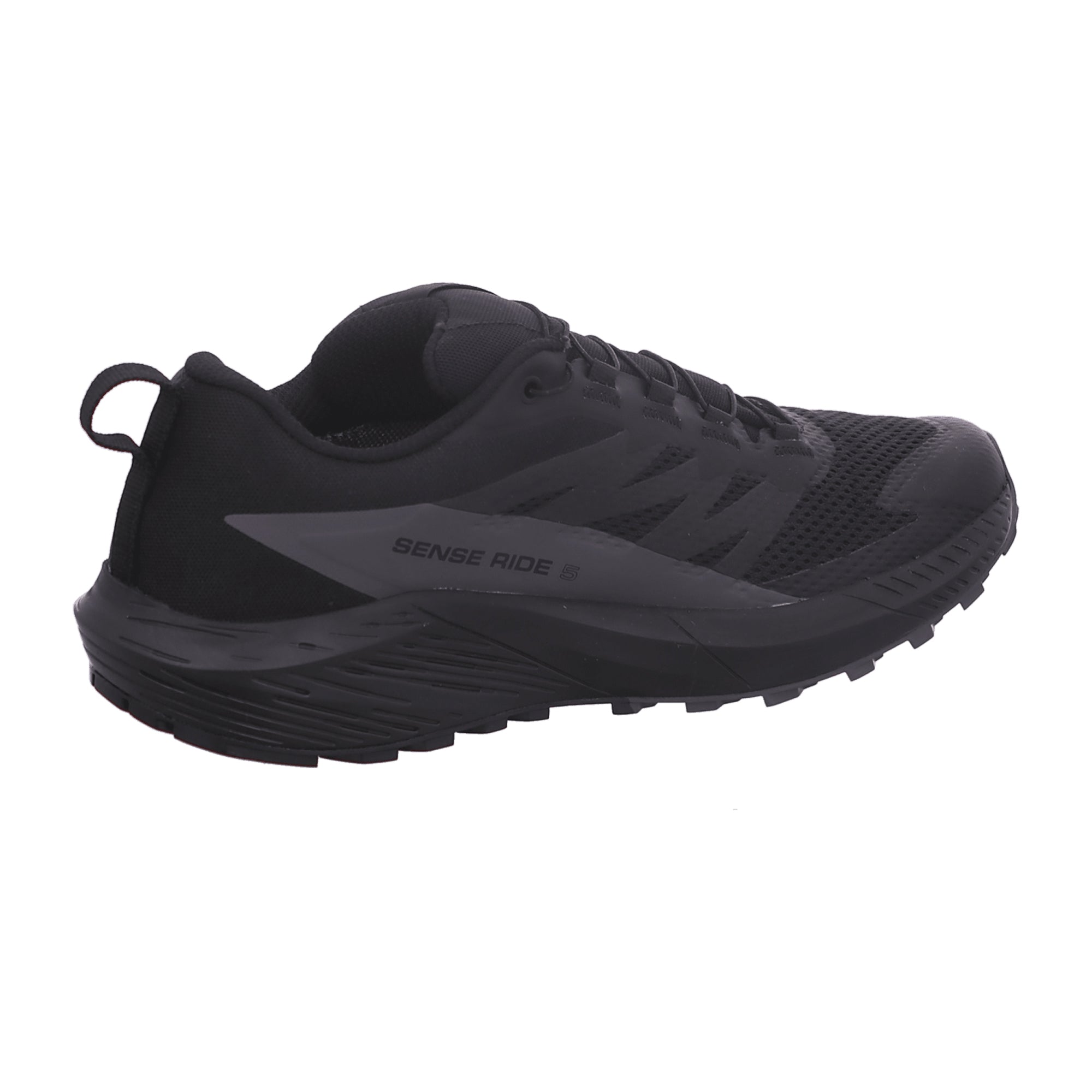 Salomon Sense Ride 5 GTX for men, black, shoes