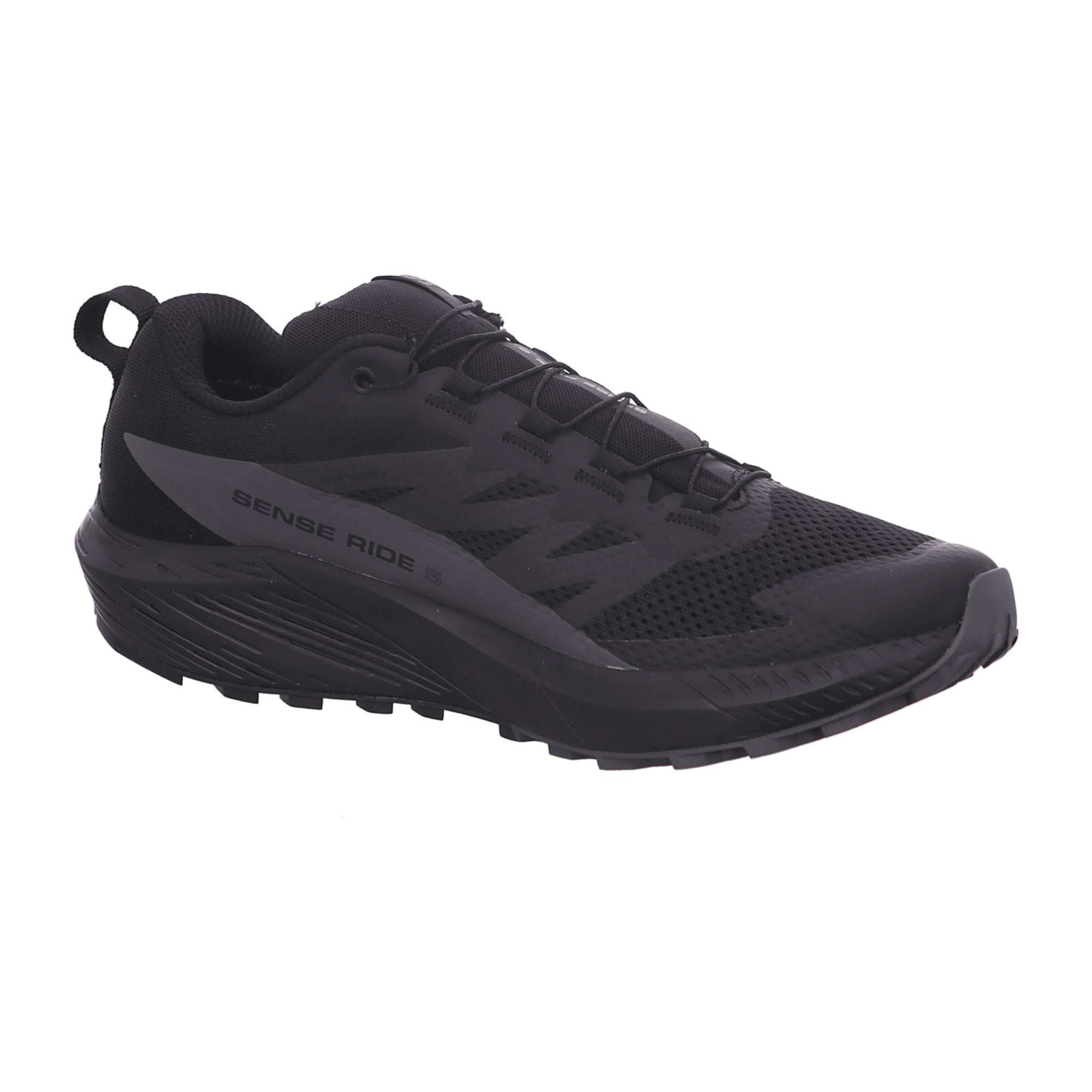 Salomon Sense Ride 5 GTX for men, black, shoes