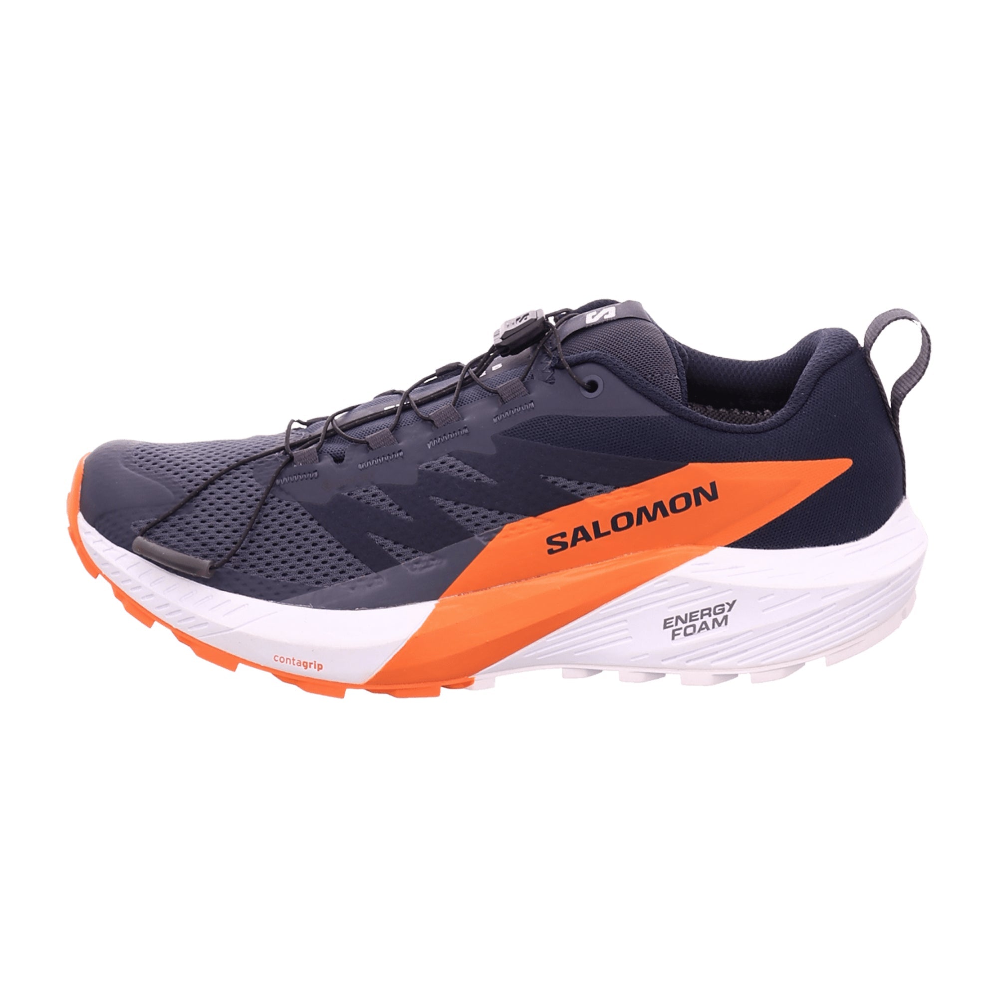 Salomon shoes SENSE RIDE 5 GTX Indik for men, blue