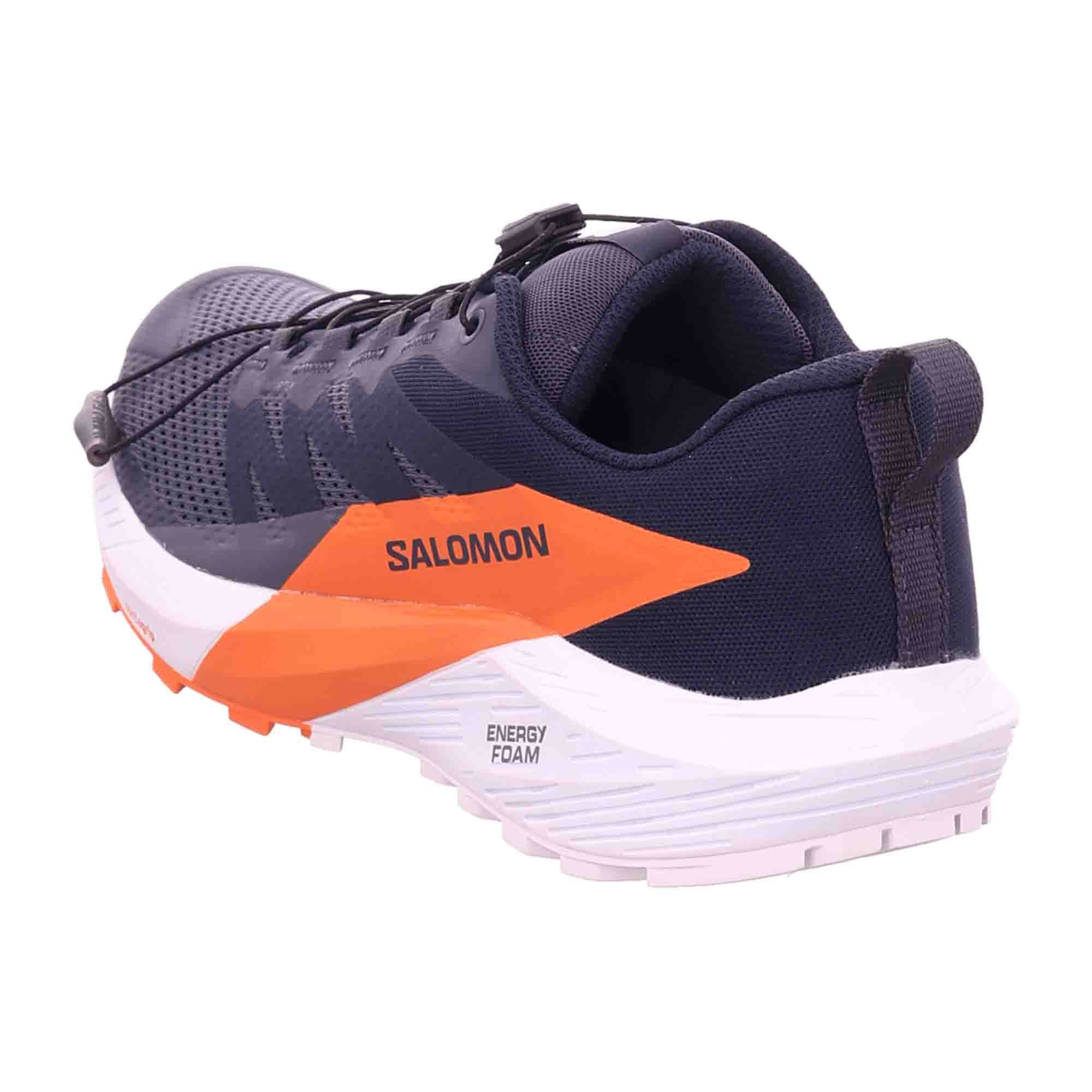 Salomon shoes SENSE RIDE 5 GTX Indik for men, blue