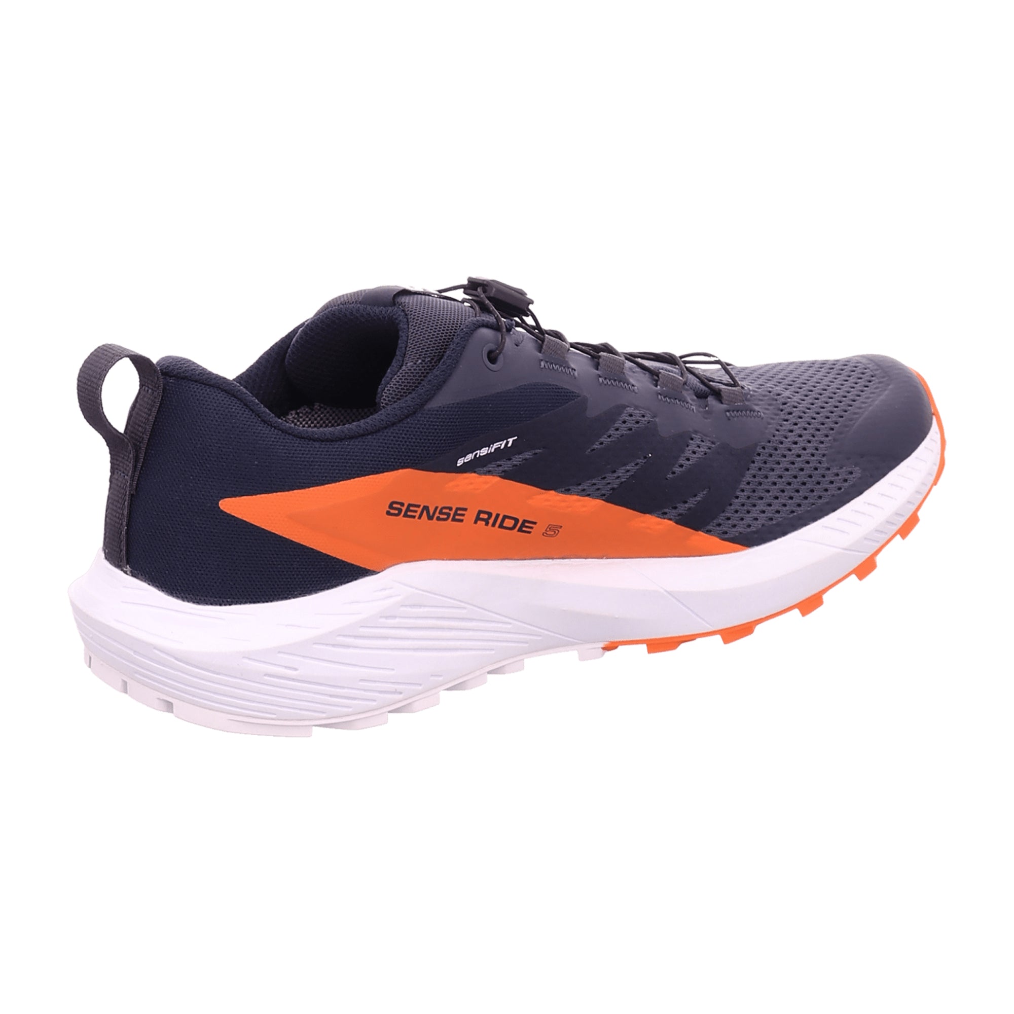 Salomon shoes SENSE RIDE 5 GTX Indik for men, blue