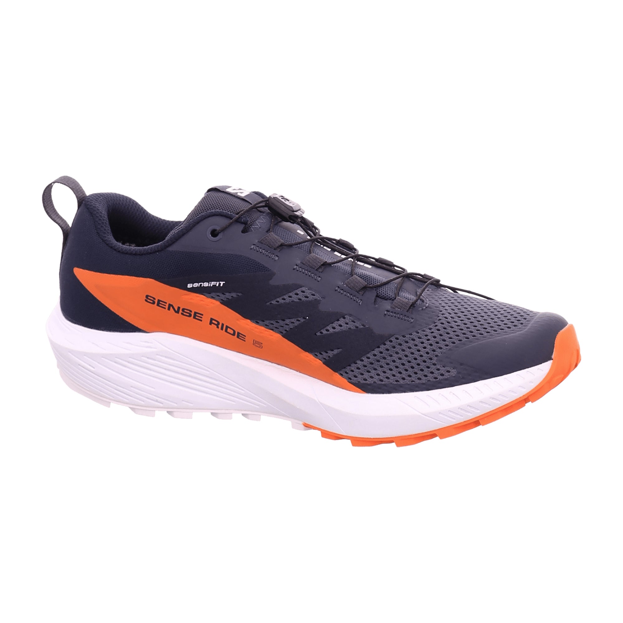 Salomon shoes SENSE RIDE 5 GTX Indik for men, blue