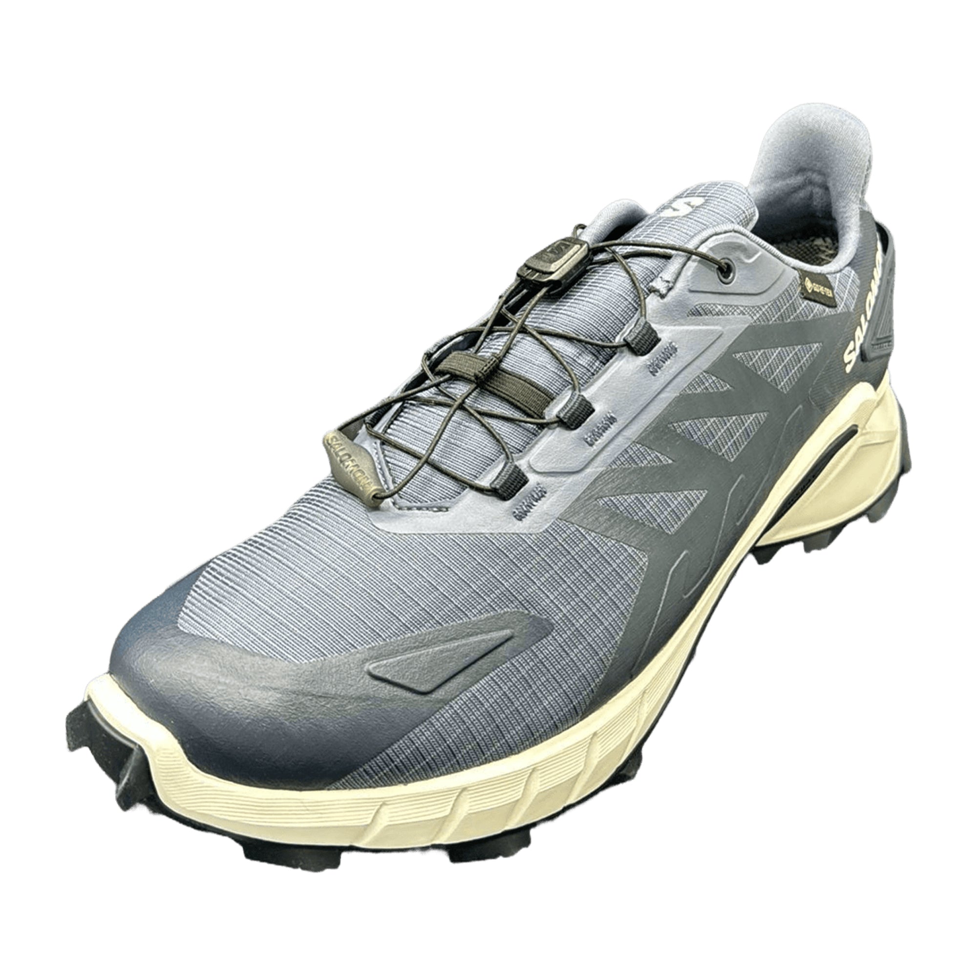 Salomon Supercross 4 GTX for men, gray, shoes