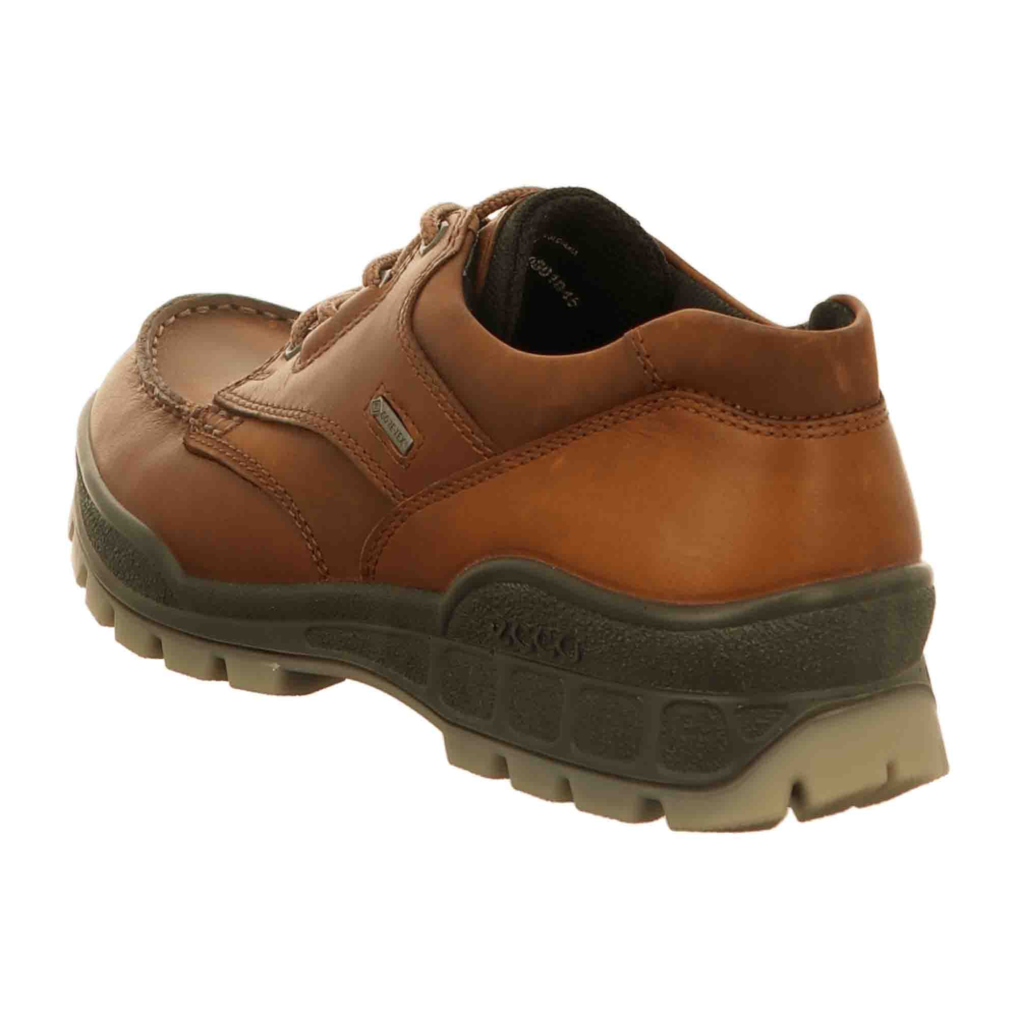 Ecco Track 25 Men's Gore-Tex Shoes | Durable & Stylish Brown Leather Outdoor Footwear