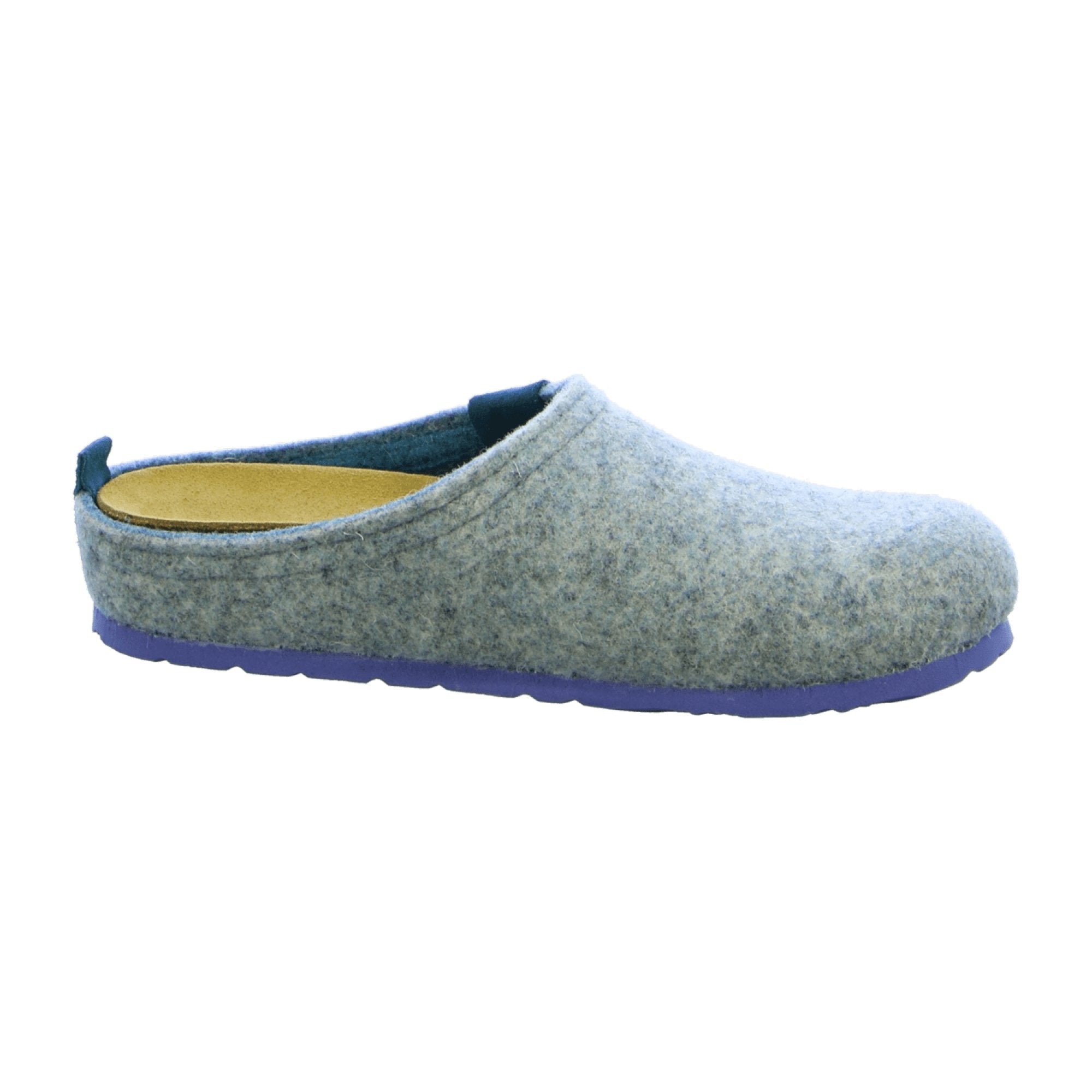 Rohde Blue Women's House Slippers for Fall and Winter