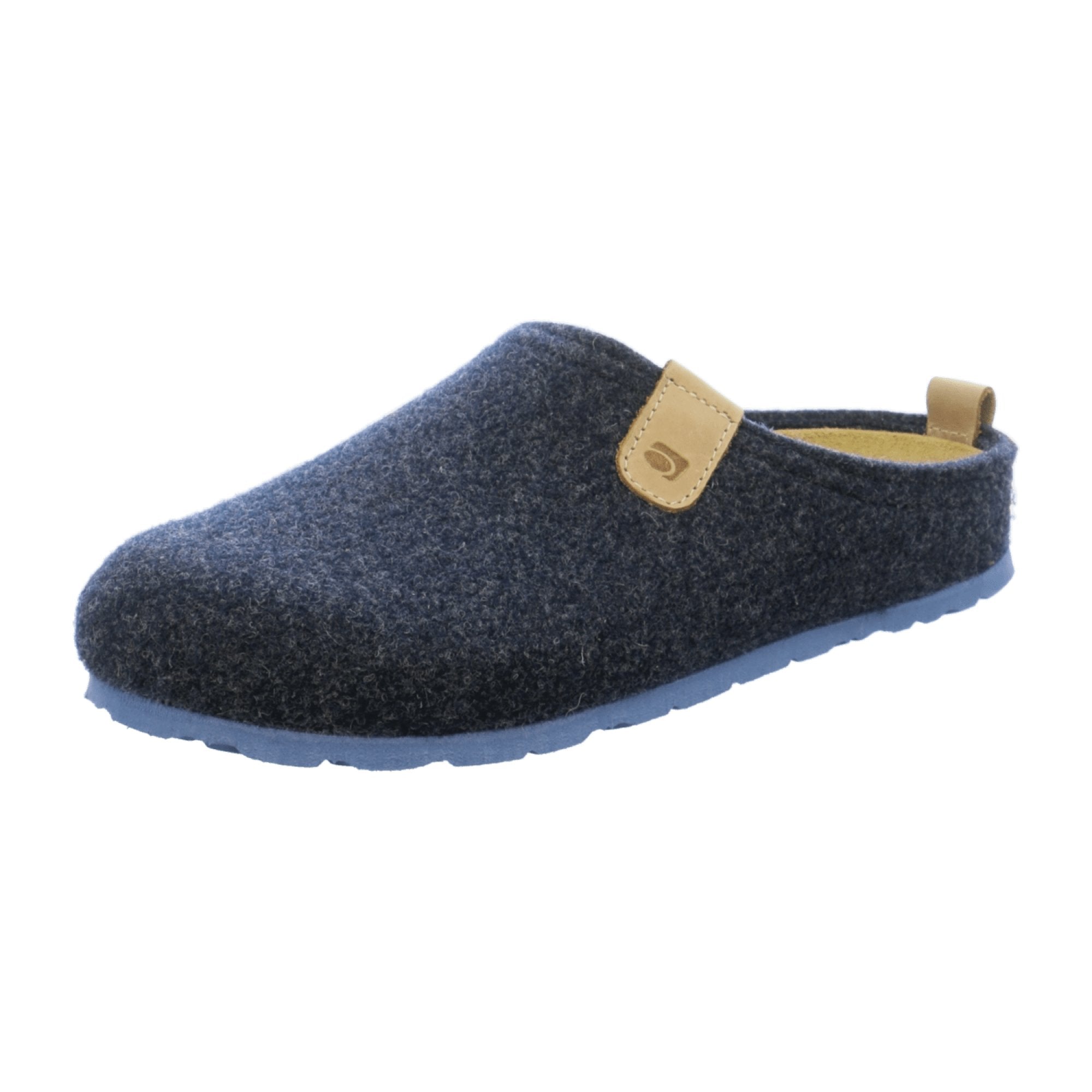 Rohde Men's Blue House Slippers for Autumn Winter