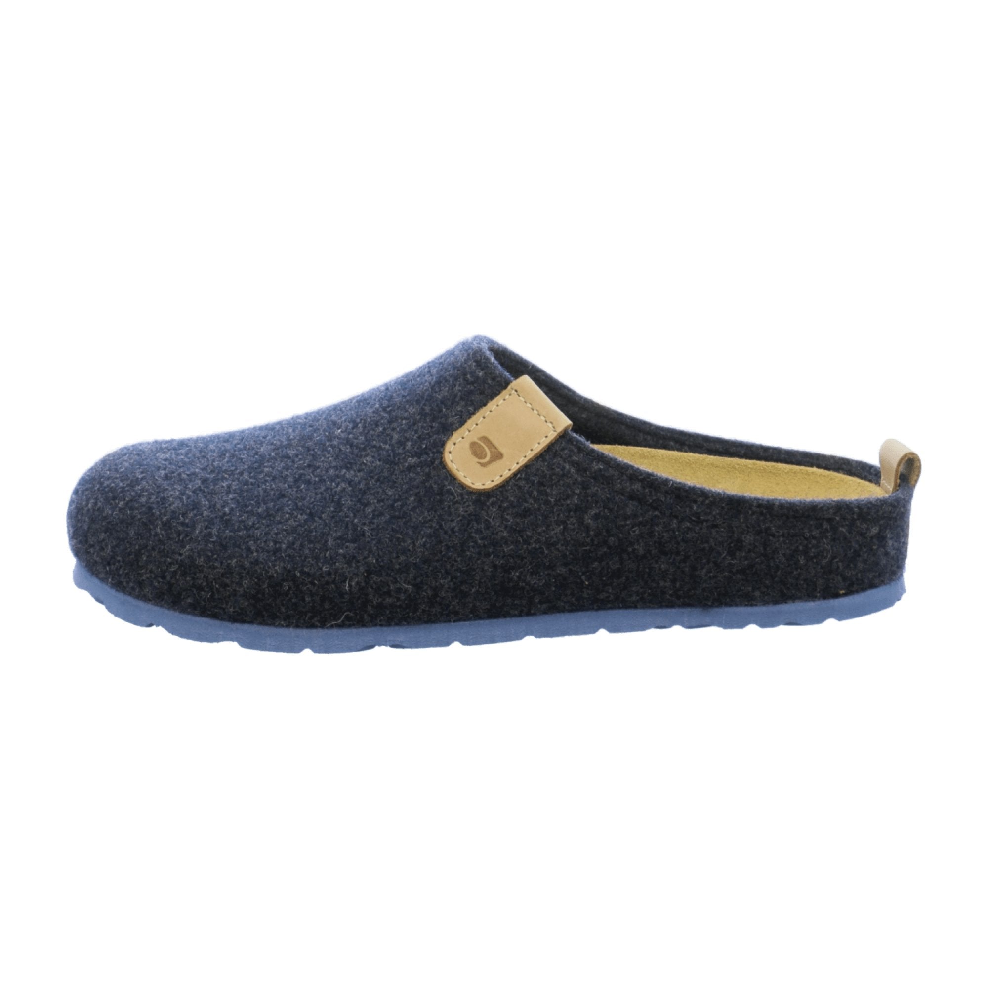 Rohde Men's Blue House Slippers for Autumn Winter