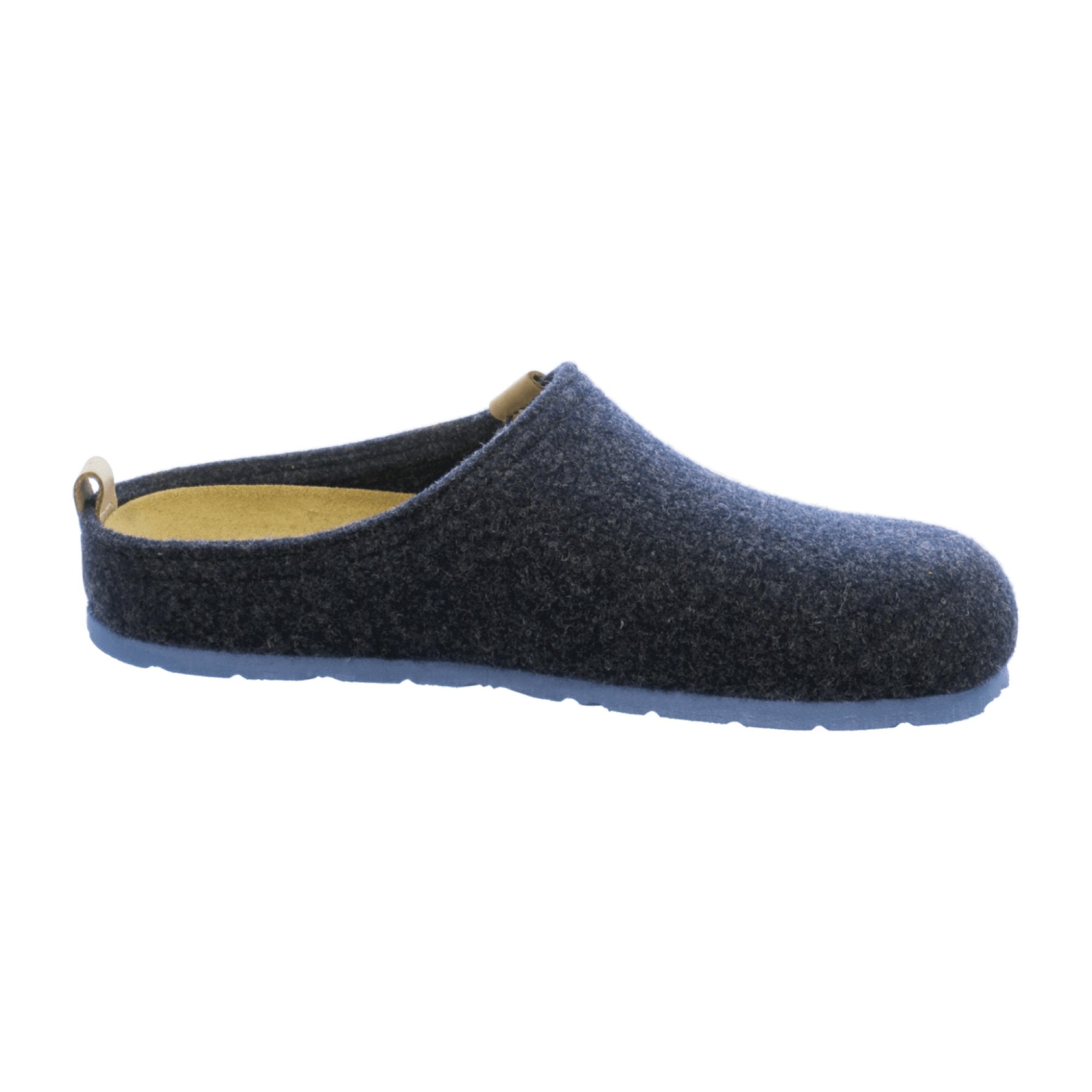 Rohde Men's Blue House Slippers for Autumn Winter